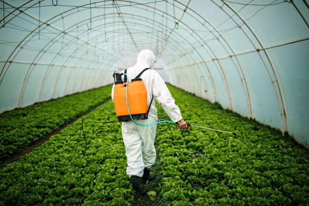 Best Best Pest Control Near Me  in Stewartville, AL