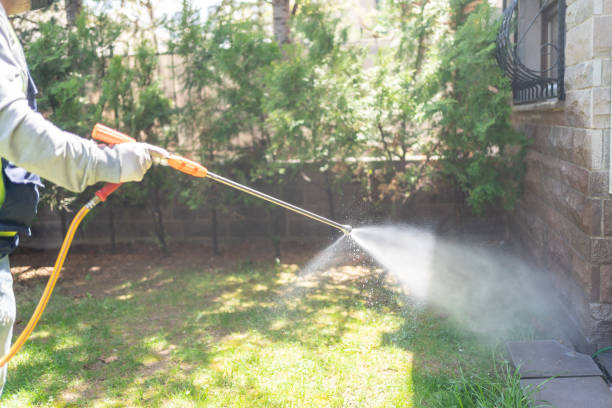 Best Pest Removal Services  in Stewartville, AL