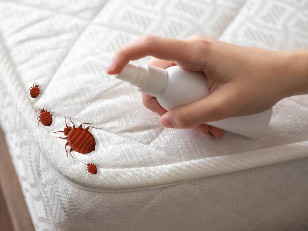Best Ant Control Services  in Stewartville, AL