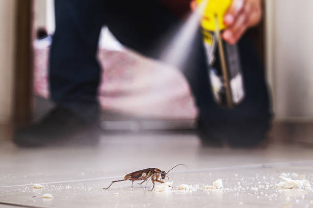 Trusted Stewartville, AL Pest Control Experts