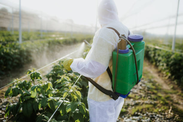 Best Pest Control Near Me in Stewartville, AL